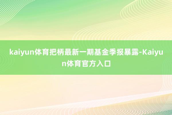 kaiyun体育把柄最新一期基金季报暴露-Kaiyun体育官方入口