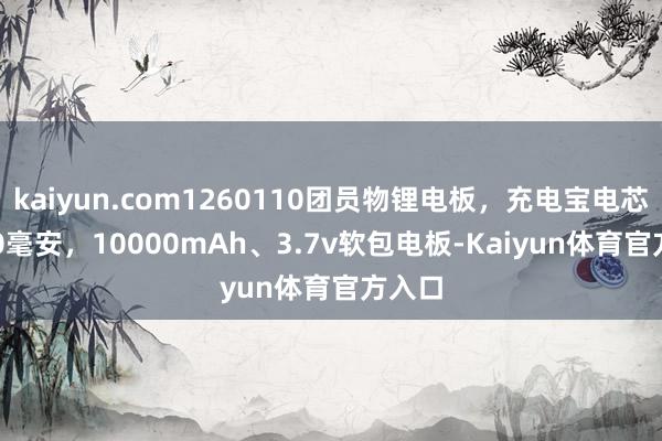 kaiyun.com1260110团员物锂电板，充电宝电芯 8000毫安，10000mAh、3.7v软包电板-Kaiyun体育官方入口