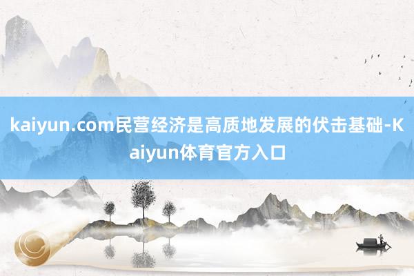 kaiyun.com民营经济是高质地发展的伏击基础-Kaiyun体育官方入口